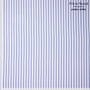 Fibre Moodn Viskose Webware Stripes Paulette blau-weiss